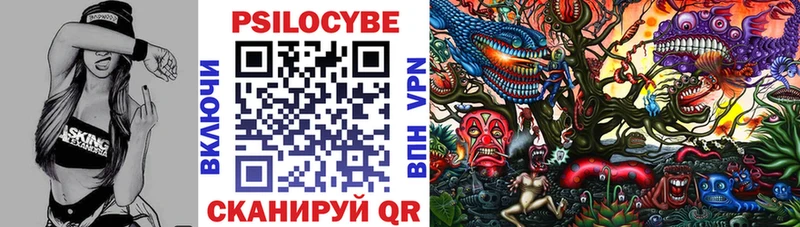 Псилоцибиновые грибы мицелий  kraken зеркало  Стародуб  купить закладку 
